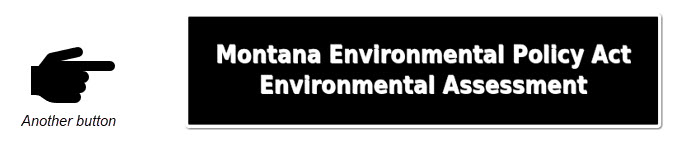 Black button to click and obtain MEPAEA information